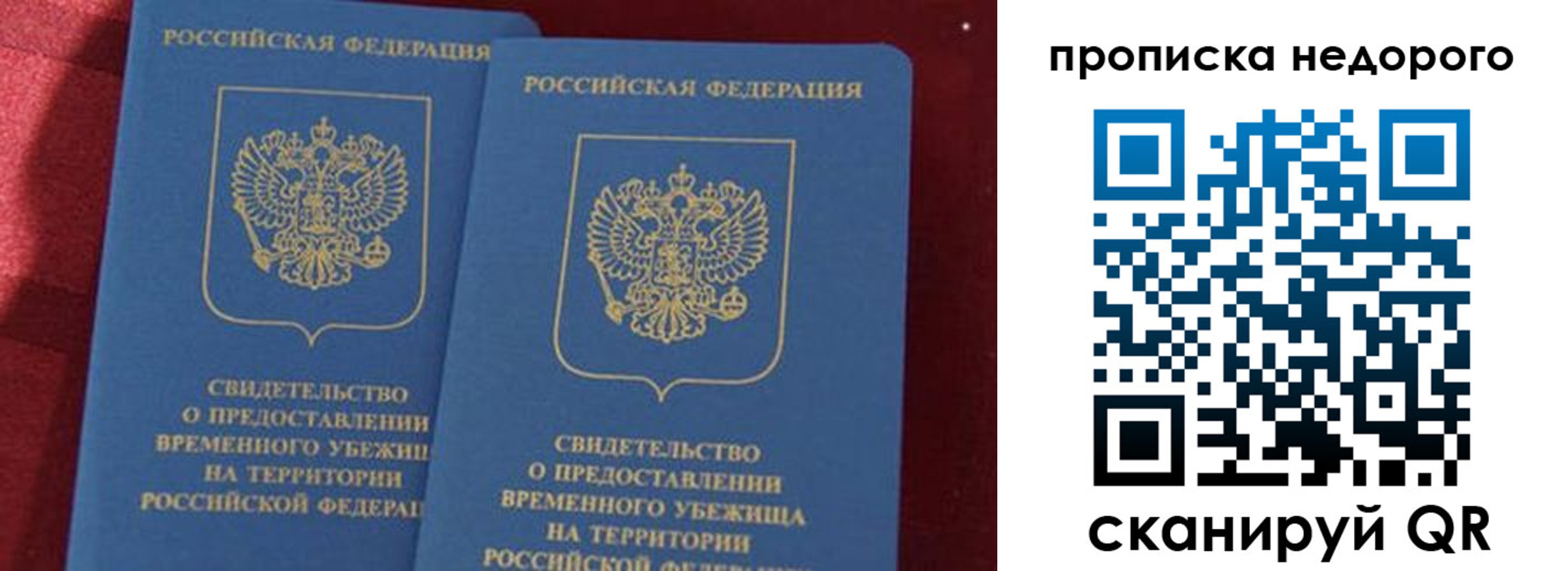 прописка гарантия в Камчатской области